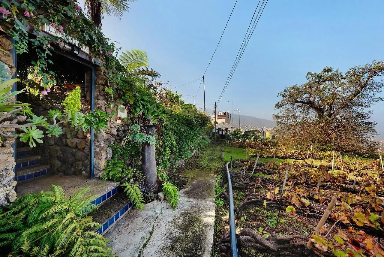 Chalet Villa Casa Eco Con Vistas Al Teide La Orotava Spanien